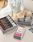 Wardrobe Undergarments Organizer and Storage Box