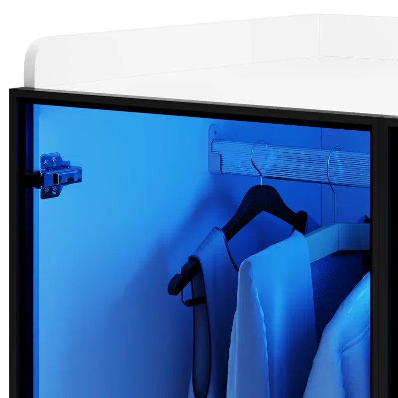 2-Door Wardrobe Armoire with LED Lights